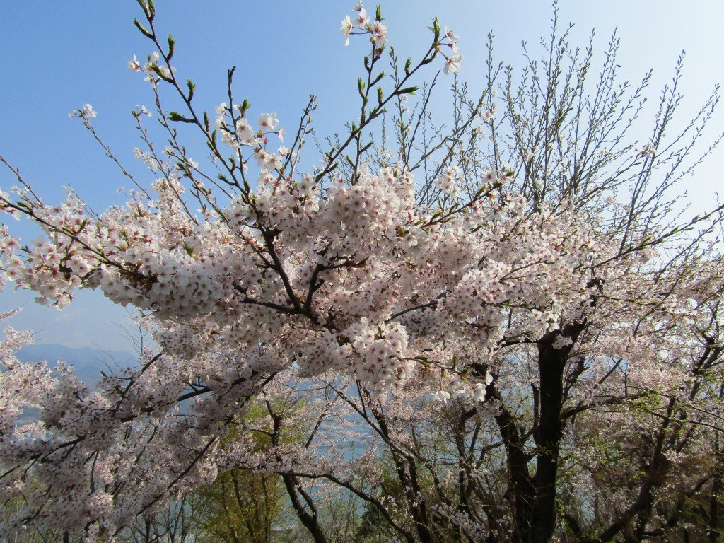 展望 후데카게야마 전망대(후데카게야마 텐보우다이) 이미지 8